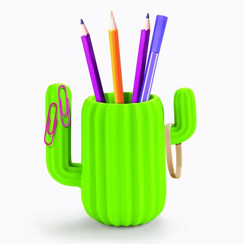 Cactus Desktop Organiser