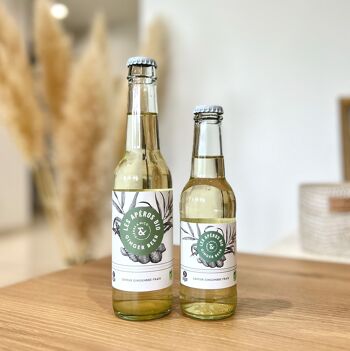 Ginger Beer Bio sans alcool - Gingembre frais - 0% vol - 20 cl - Les Apéros Bio 2