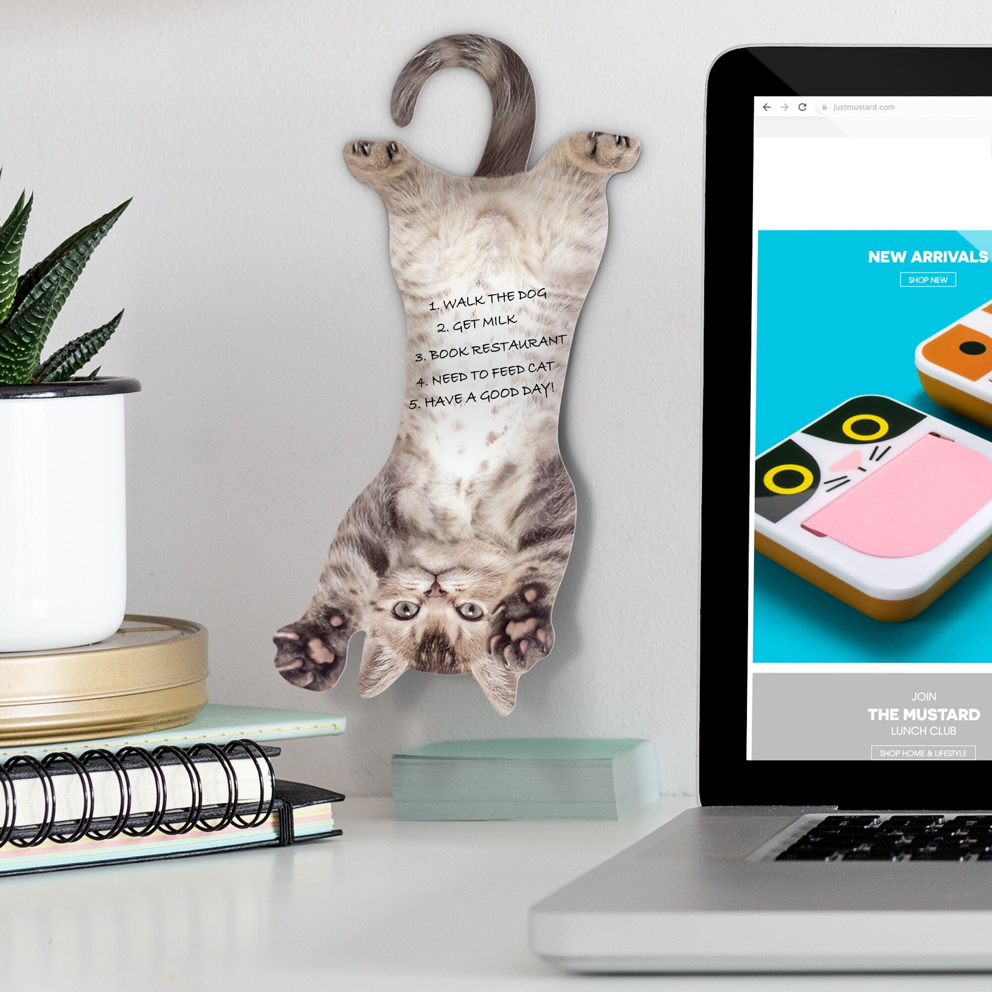 Appunti per appendere il gatto