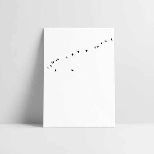 Postkarte: Birds
