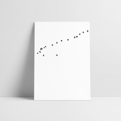 Carte postale: Oiseaux