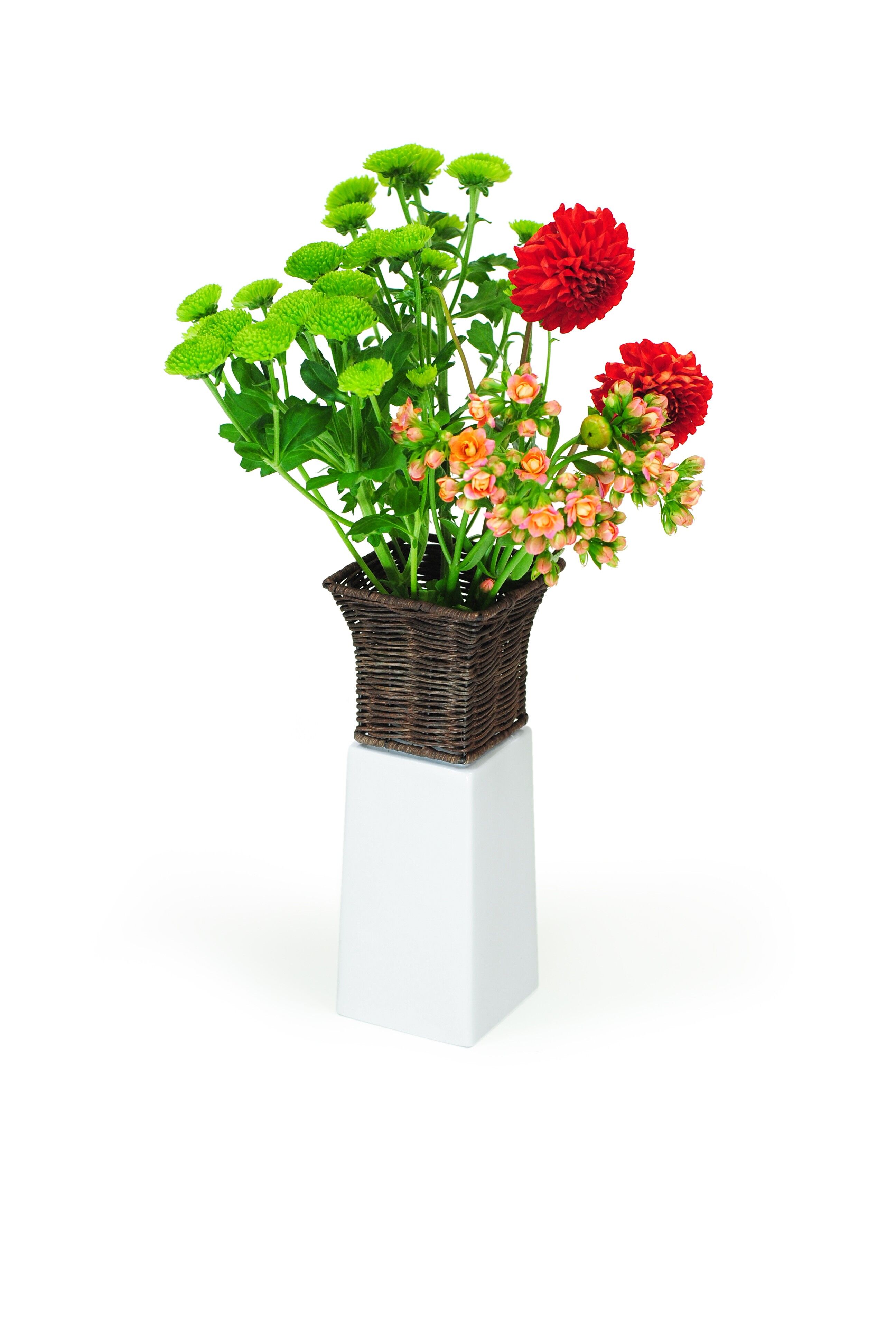 Collezione di vasi Weideheim - "Vaso in porcellana Emily"