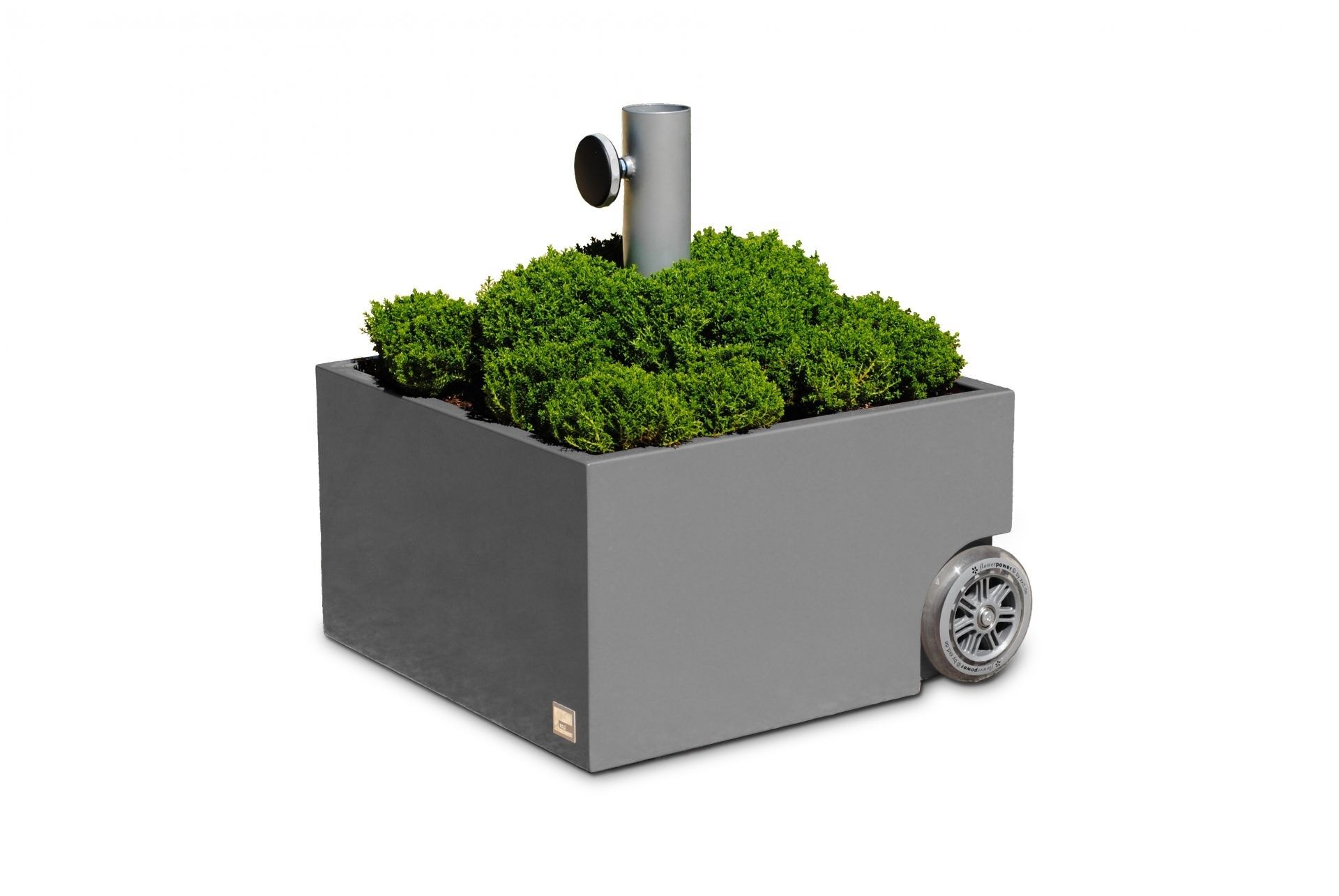 Flowerpower - Portaombrellone piantabile “grigio”.