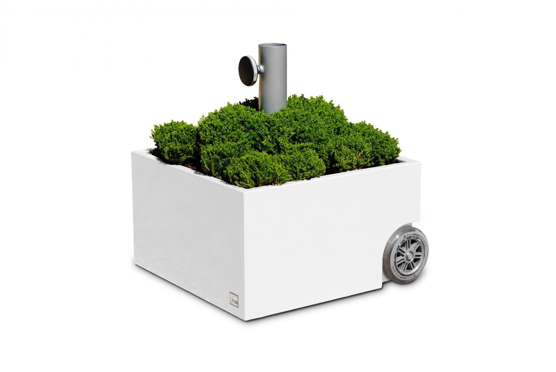 Flowerpower - Portaombrellone piantabile “bianco”.