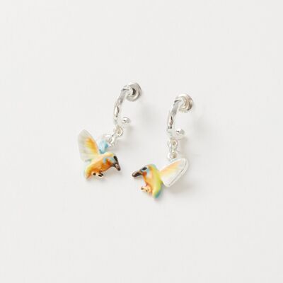 Boucles d'oreilles créoles en émail Kingfisher - Boîte suspendue