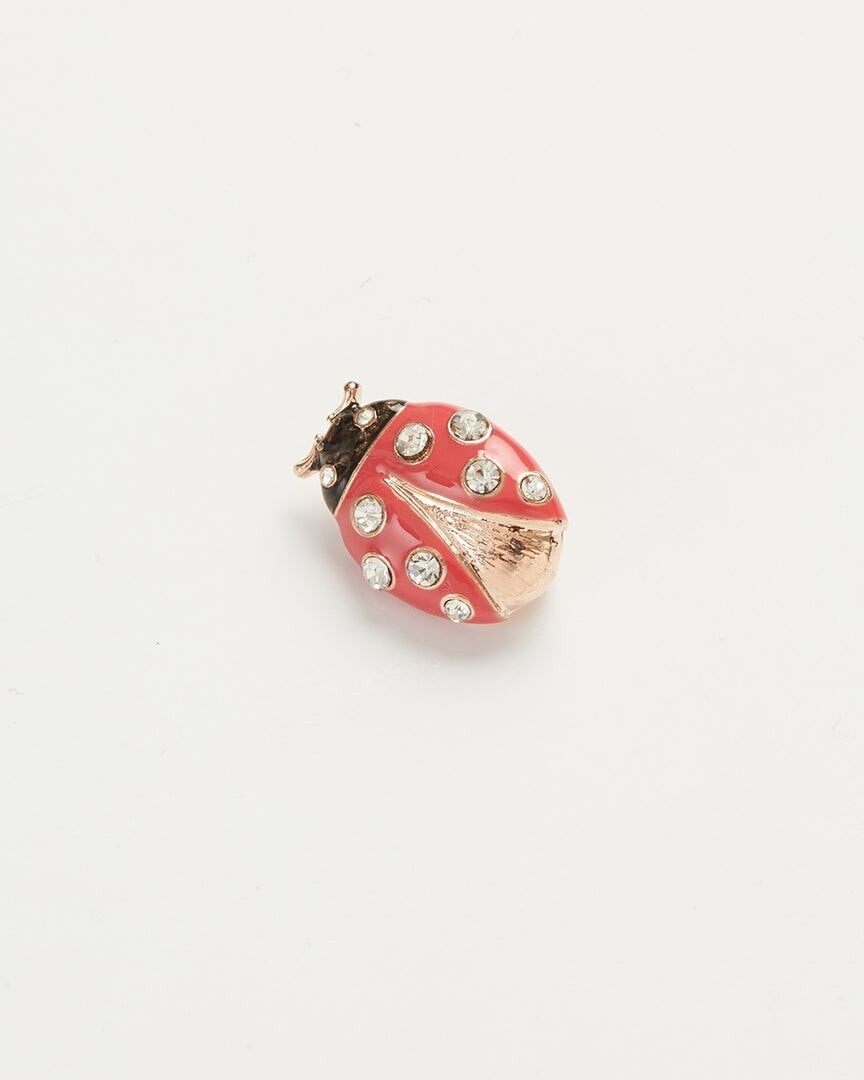 Ladybird brooch sale