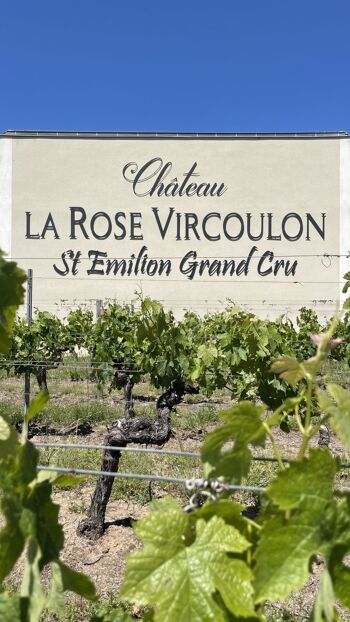 Château La Rose Vircoulon 2020, Saint Emilion Grand Cru - Vin rouge structuré et gourmand 2