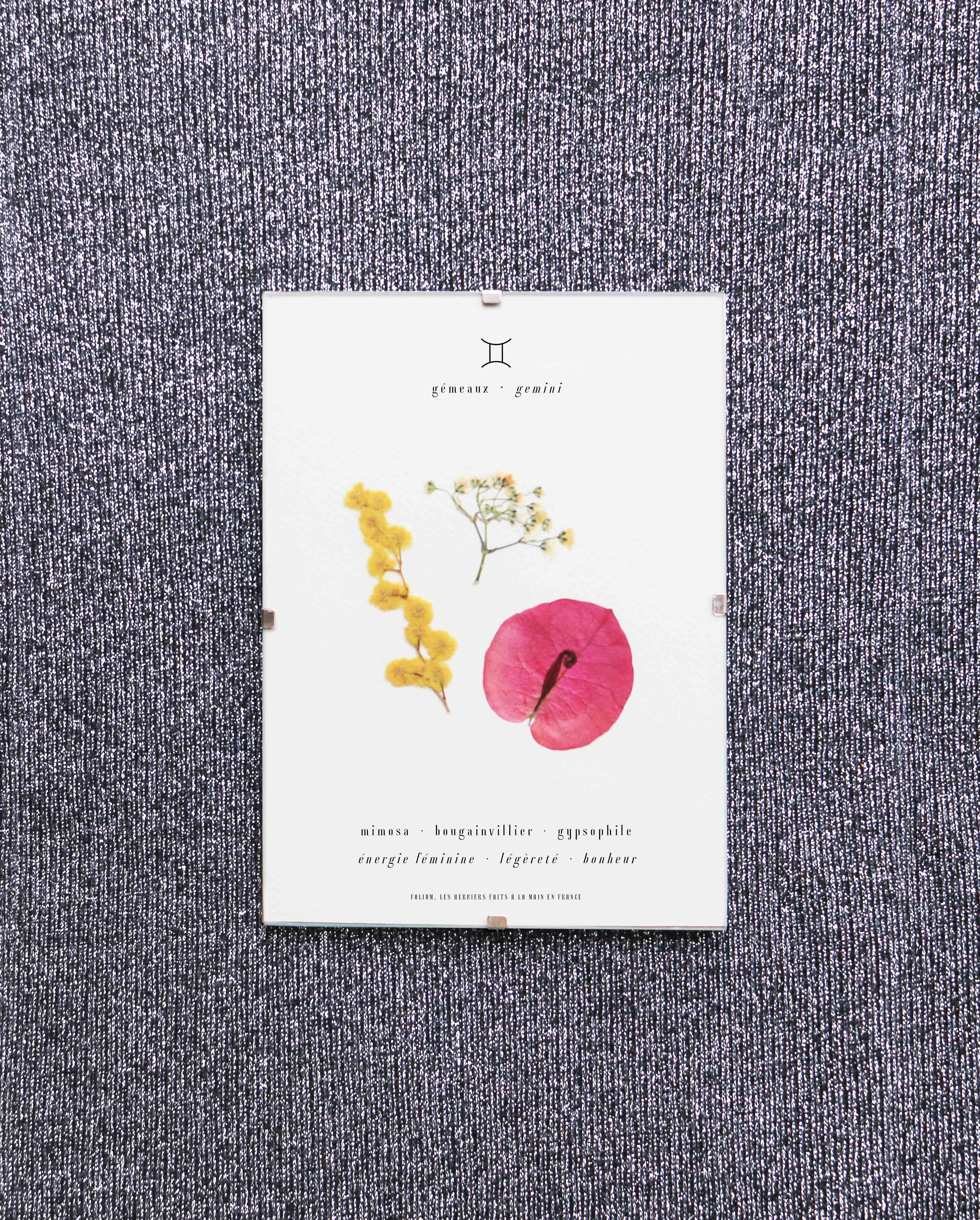 Astrologisches Herbarium · Zwillinge · Natürlicher Trockenblumenrahmen, Herbarium gerahmt mit gepressten Blumen