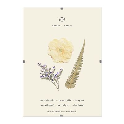 The cancer herbarium