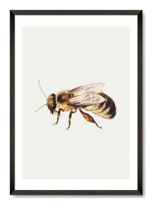 Bee Art Print - A4