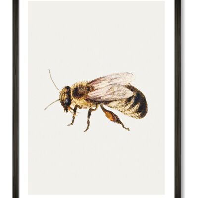 Bee Art Print - A4