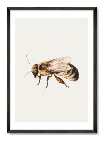 Impression d'Art abeille - A4