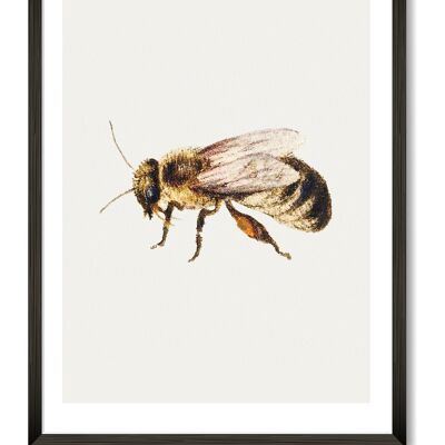 Impression d'Art abeille - A4