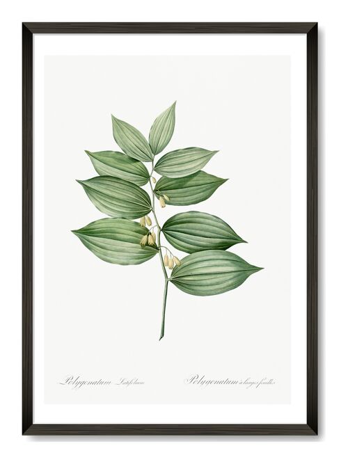 Botanical Leaf Art Print - A4