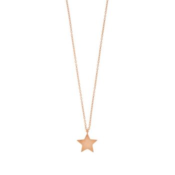 Collier Star Disc, mat, plaqué or rose 1