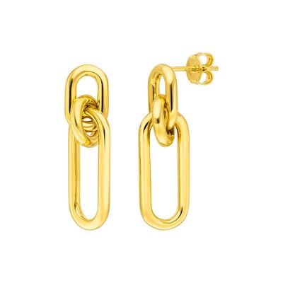 Silver earrings, yellow gold, carabiner