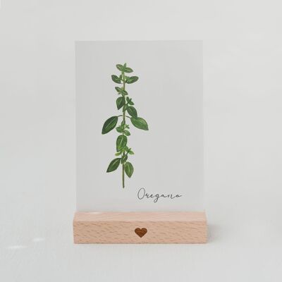 TARJETA DE HIERBAS OREGANO