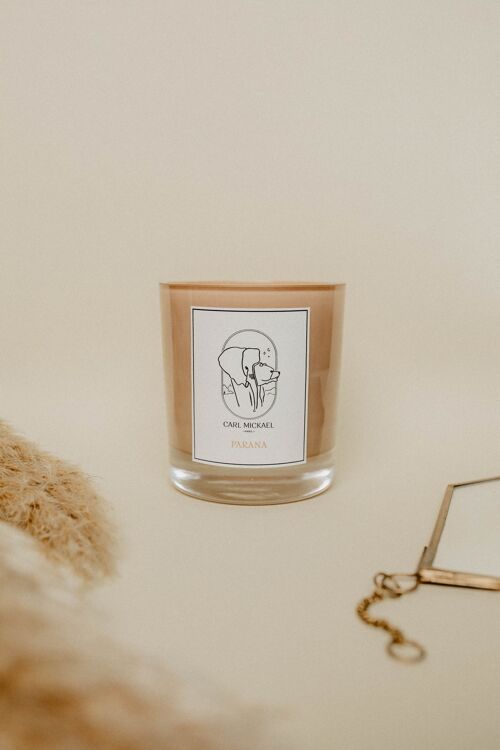 Bougie Parfumée Parana 250g