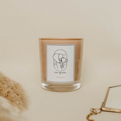 Parana Scented Candle 250g