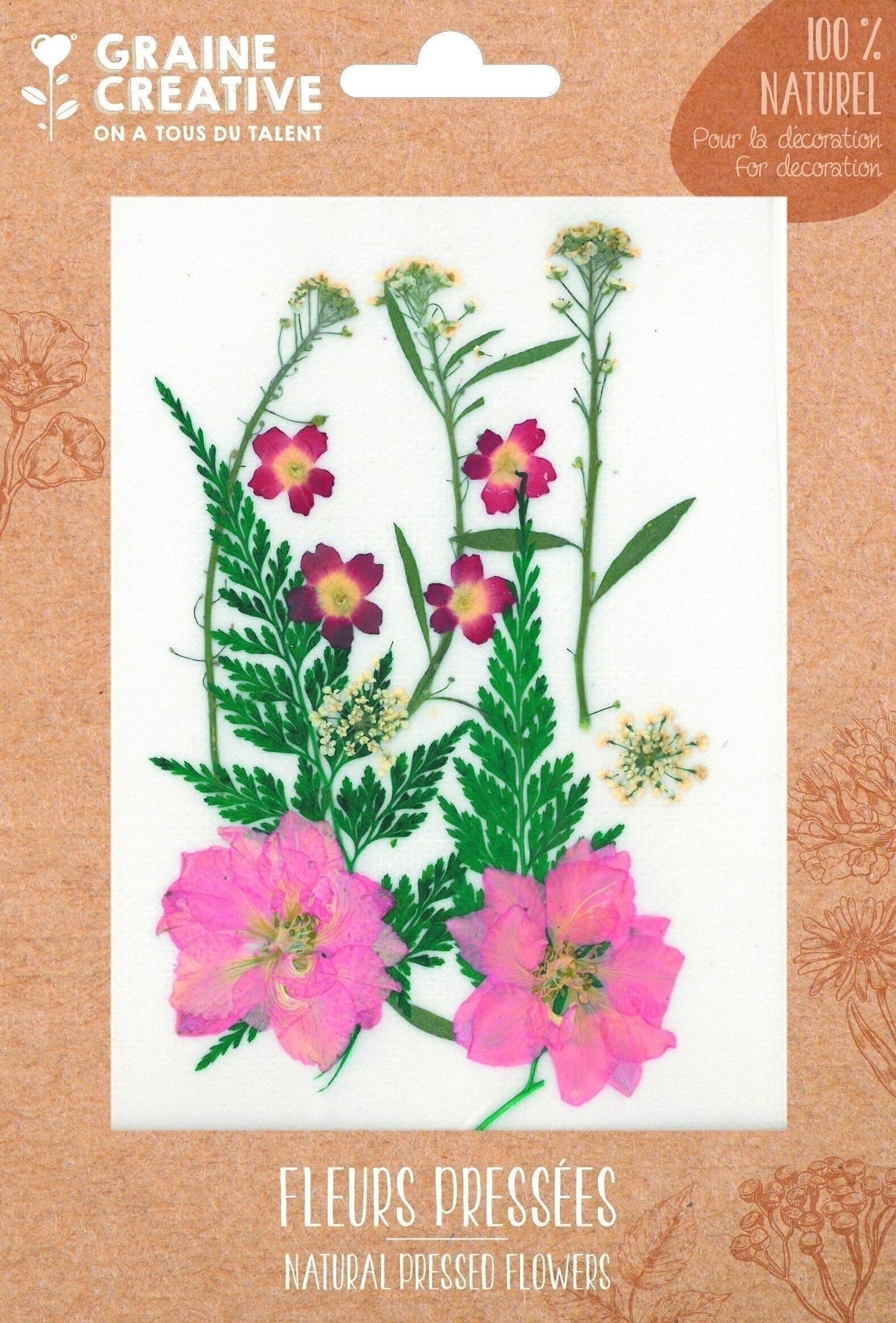 FIORI PRESSATI DELLA PRATERIA ROSSA - 13 PZ