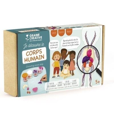 ANATOMY EDUCATIONAL MOLDING KIT