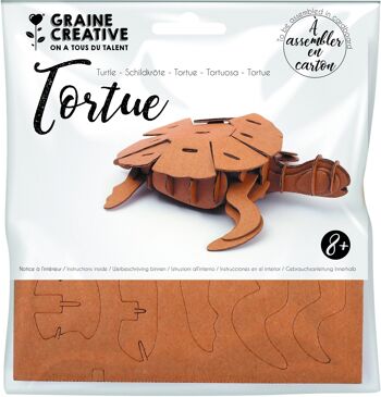 MAQUETTE TORTUE 1