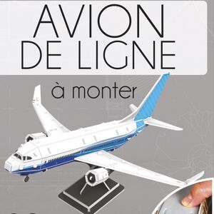 PUZZLE MAQUETTE AVION DE LIGNE