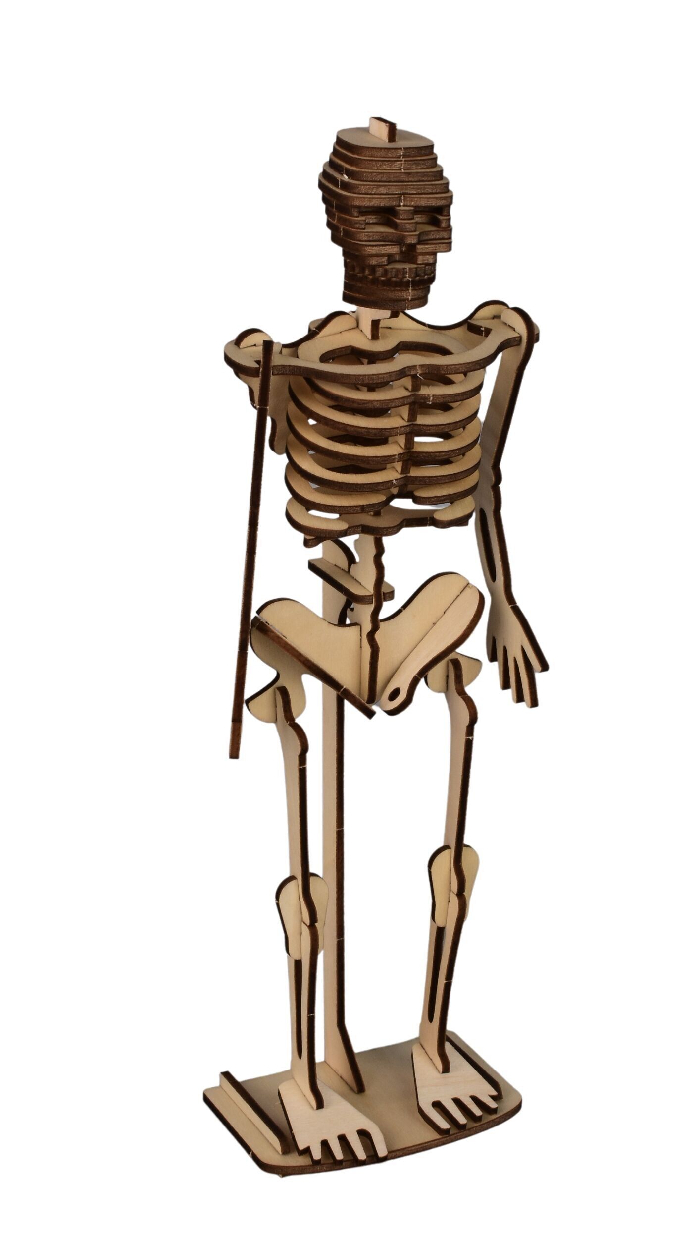 Skeleton building kit