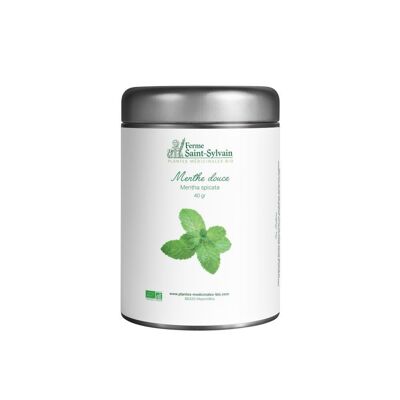 Organic Sweet Mint - 40g - Herbalist Cup for infusion