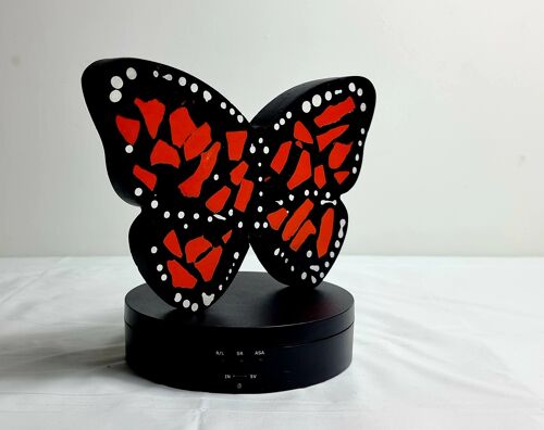 Monarch butterfly tray