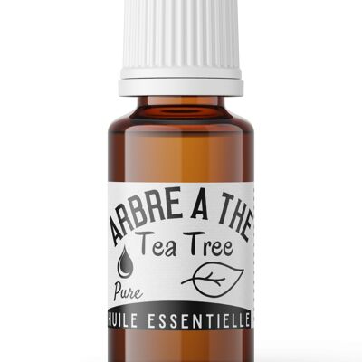 Olio essenziale dell'albero del tè - Albero del tè