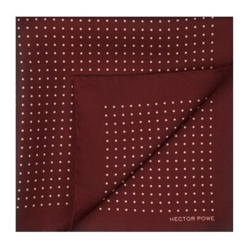 Foulard en soie à pois marron 2