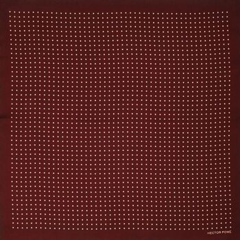 Foulard en soie à pois marron 3