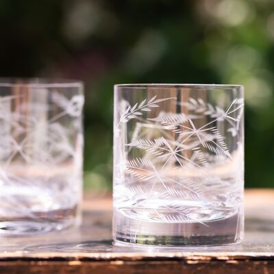 Un paio di bicchieri da whisky in cristallo con design a felce