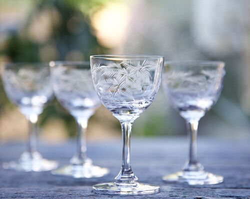 A Set Of Six Crystal Liqueur Glasses with Fern Design