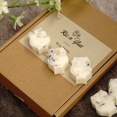 Bluebell Scented Owl Wax Melts