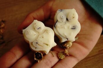 Fondants de cire parfumés à la cannelle et à la pomme 4