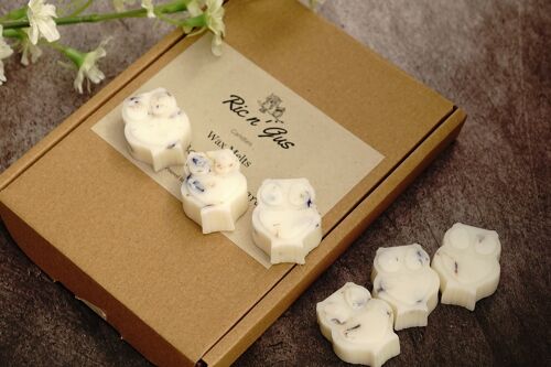 Fig & Cassis Scented Wax Melts