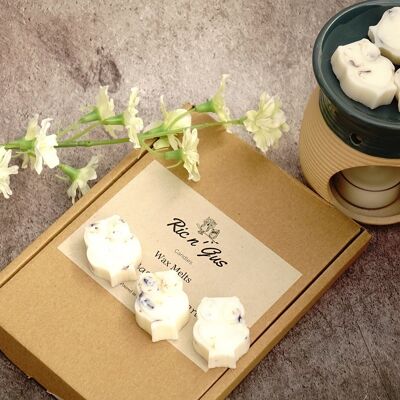 Lemongrass & Ginger Scented Wax Melts