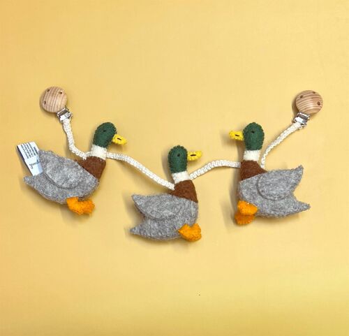 Pram Chain, Ducks