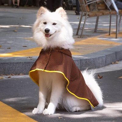 Manteau d'hiver Groc Groc Lola pour chien - XL