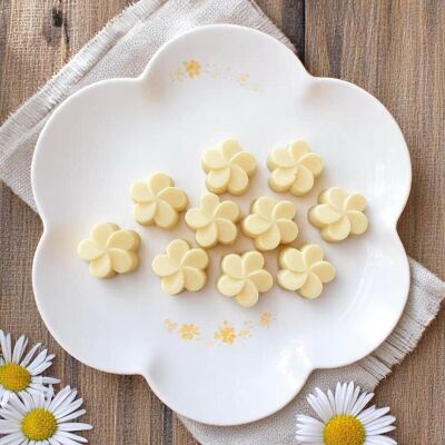 Vaniglia delle isole - Melt profumato con cera di colza 16g