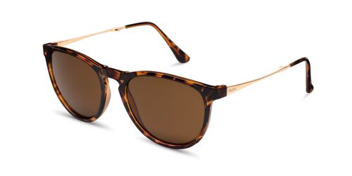 Sloane Tortoiseshell