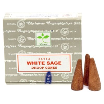 Encens indien White Sage - 3