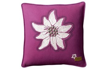 Alpenstern 159 - Coussin * 2