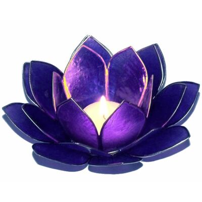 Photophore Lotus Indigo