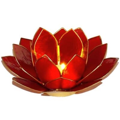 Photophore Lotus Rouge