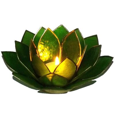 Photophore Lotus Vert