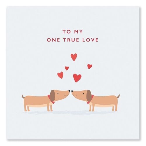 My One True Love Cute Dog Valentine's Day Card