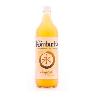 BioKombucha Gingembre 1L Verre